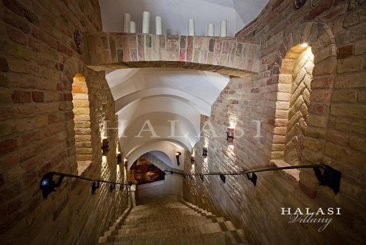 Villány Halasi Pince Panzio מראה חיצוני תמונה